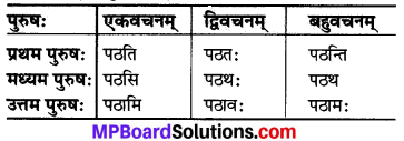 MP Board Class 6th Sanskrit Solutions Chapter 17 चरामेति चरामेति 3