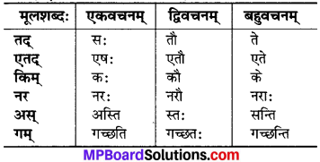 Mp Board Class 6 Sanskrit Chapter 3
