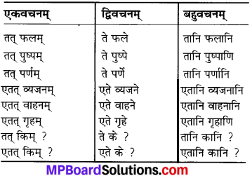 MP Board Class 6th Sanskrit Solutions Chapter 3 सर्वनामशब्दाः 20