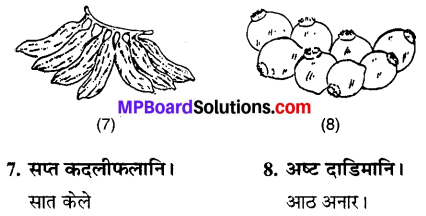 MP Board Class 6th Sanskrit Solutions Chapter 4 सङ्ख्याबोधः 24