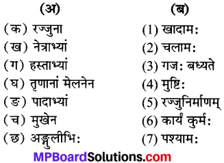 Mp Board Class 6 Sanskrit Chapter 7
