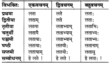 MP Board Class 6th Sanskrit व्याकरण-खण्डः 5