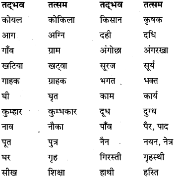 MP Board Class 6th Special Hindi व्याकरण 1