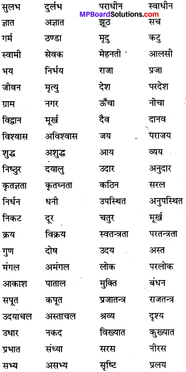 MP Board Class 6th Special Hindi व्याकरण 6