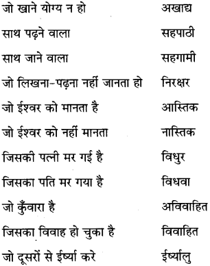 MP Board Class 6th Special Hindi व्याकरण 9