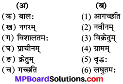 MP Board Class 7th Sanskrit Solutions Chapter 7 भोपालनगरम् img 1