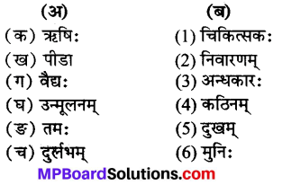 MP Board Class 7th Sanskrit Solutions विविधप्रश्नावलिः 3 img 2