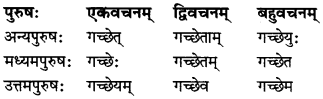 MP Board Class 7th Sanskrit व्याकरण-खण्डः img 20
