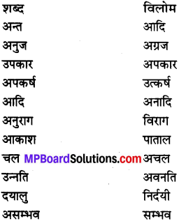 MP Board Class 7th Special Hindi व्याकरण 3