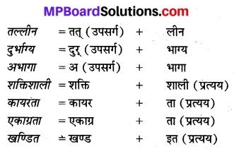 Bhasha Bharti Class 8 Hindi MP Board