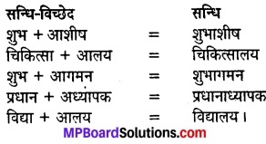 Mp Board Class 8 Hindi