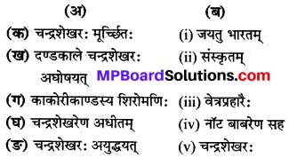 Sanskrit Class 8 Chapter 10 MP Board