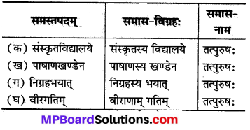 Sanskrit Chapter 10 Class 8 MP Board