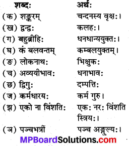 Class 8 Sanskrit Chapter 16 MP Board