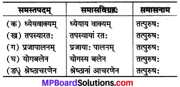 Mp Board Class 8 Sanskrit Chapter 18