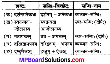 Sanskrit Class 8 Chapter 19 MP Board