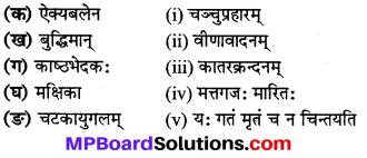 Class 8 Sanskrit Mp Board Solution