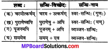 Mp Board Solution Class 8 Sanskrit