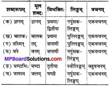 MP Board Class 8th Sanskrit Solutions विविधप्रश्नावलिः 1 Q10