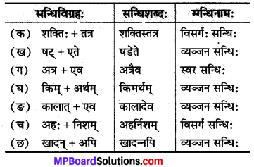 Mp Board Class 8 Sanskrit Solution