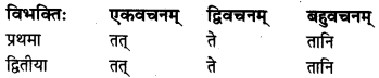 MP Board Class 8th Sanskrit व्याकरण-खण्डः 25