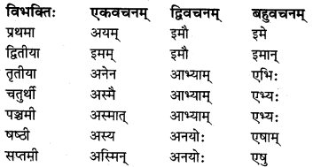 MP Board Class 8th Sanskrit व्याकरण-खण्डः 29