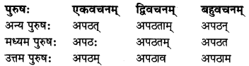 MP Board Class 8th Sanskrit व्याकरण-खण्डः 33
