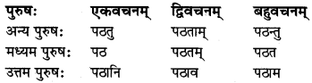 MP Board Class 8th Sanskrit व्याकरण-खण्डः 35