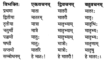 MP Board Class 8th Sanskrit व्याकरण-खण्डः 9