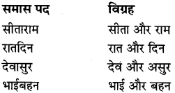 MP Board Class 8th Special Hindi व्याकरण 11