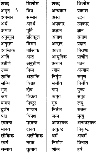 MP Board Class 8th Special Hindi व्याकरण 18