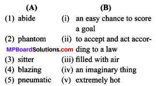 MP Board Class 9th General English The Spring Blossom Solutions Objective Type Questions 1