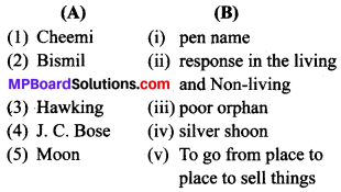 MP Board Class 9th General English The Spring Blossom Solutions Objective Type Questions 2