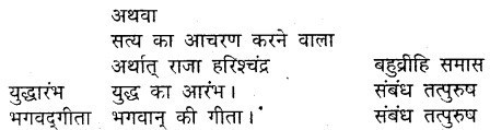 MP Board Class 9th Hindi Vasanti Solutions Chapter 21 कर्त्तव्य पालन img 4