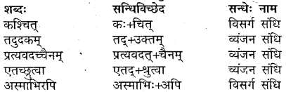 MP Board Class 9th Sanskrit Solutions Chapter 17 गुरुभक्तः आरुणि img-2