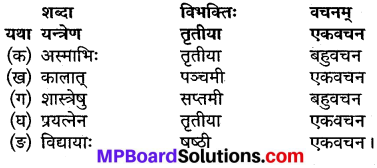 MP Board Class 9th Sanskrit Solutions Chapter 20 वेधशाला img-2