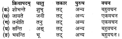 Sanskrit Shlok Class 9 MP Board