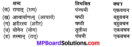 MP Board Class 9th Sanskrit Solutions Chapter 6 शरीरमाद्यं खलु धर्मसाधनम् img-3