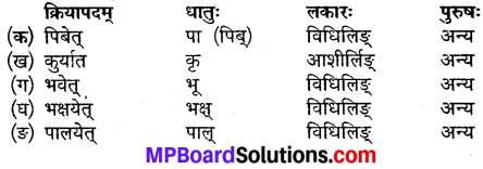 MP Board Class 9th Sanskrit Solutions Chapter 6 शरीरमाद्यं खलु धर्मसाधनम् img-4