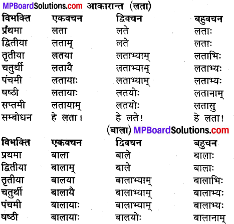 MP Board Class 9th Sanskrit व्याकरण शब्द रूप img-11