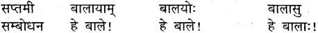 MP Board Class 9th Sanskrit व्याकरण शब्द रूप img-12