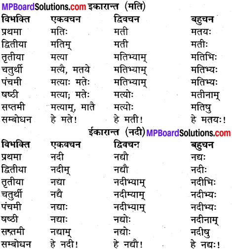 MP Board Class 9th Sanskrit व्याकरण शब्द रूप img-13