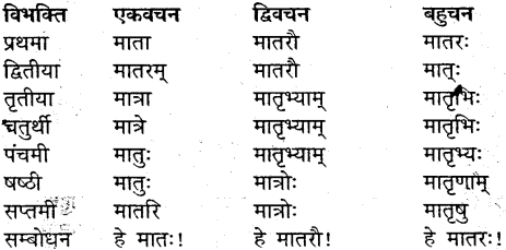 MP Board Class 9th Sanskrit व्याकरण शब्द रूप img-17