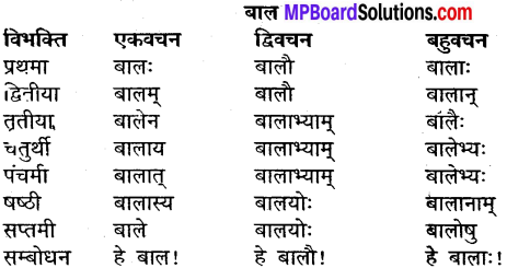 MP Board Class 9th Sanskrit व्याकरण शब्द रूप img-2
