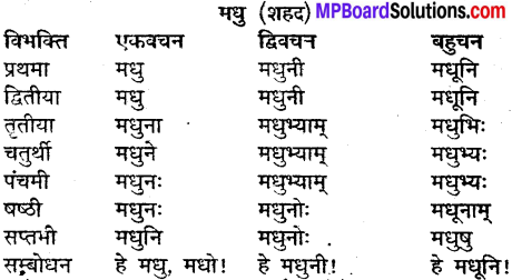 MP Board Class 9th Sanskrit व्याकरण शब्द रूप img-21