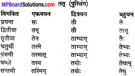 MP Board Class 9th Sanskrit व्याकरण शब्द रूप img-26