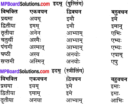 MP Board Class 9th Sanskrit व्याकरण शब्द रूप img-30