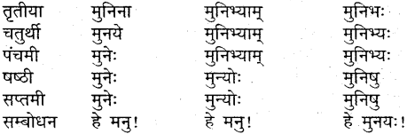 MP Board Class 9th Sanskrit व्याकरण शब्द रूप img-4