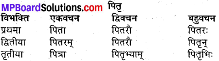 MP Board Class 9th Sanskrit व्याकरण शब्द रूप img-6