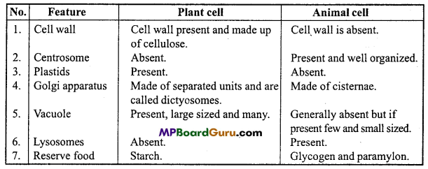 MP Board Class 11th Biology Important Questions Chapter 8 Cell The Unit of Life 11